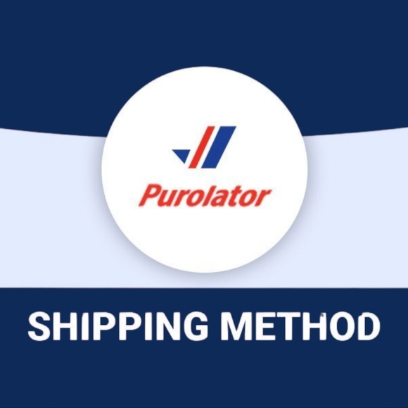 NWT Women's Sheer Thigh-high Lace Trim Stockings Thigh-high Nylons - Picture 10 of 12